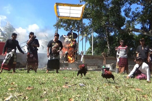 Di Setra Adat Kesian, Upacara Ngaben Dibarengi Tabuh Rah