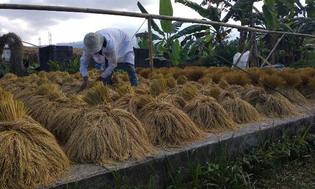 Mengenal Beragam Ritual Terkait Subak