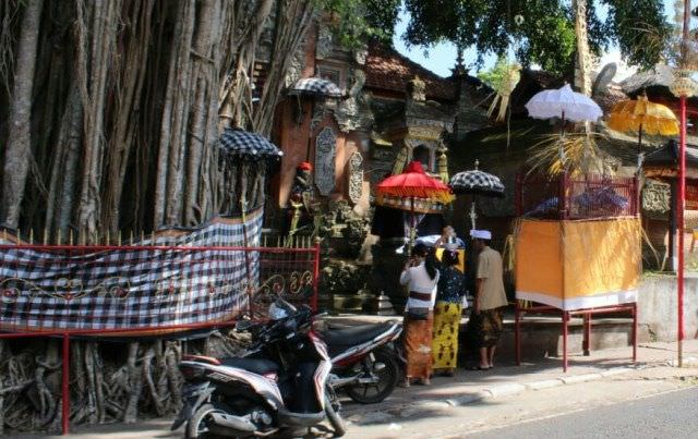 Punya Niat Jahat, Daun Beringin Jadi Ular di Pura Penataran Pande Beng