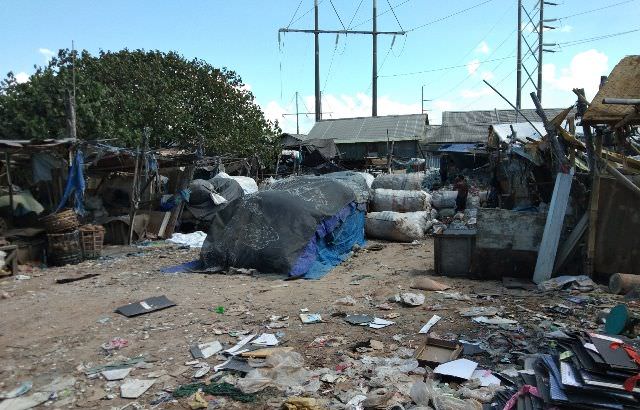 Ular Dalam Karung Dibuang Hidup-hidup, Selalu Waspada Alat Berat