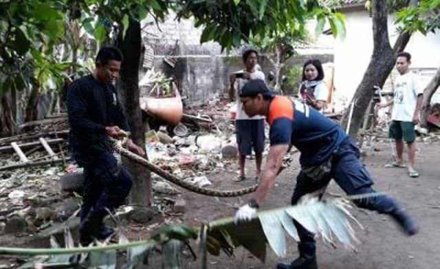 Ular Masuk Rumah dari Segi Mistis dan Realistis, Garam hanya Mitos