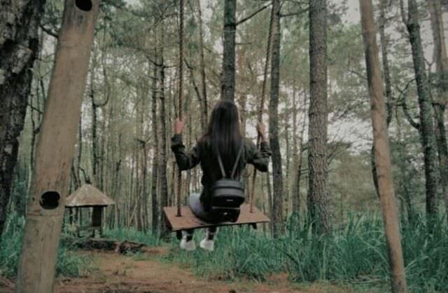 Hutan Pinus Kintamani, Jadi Spot Cantik Lokasi Foto Prewedding