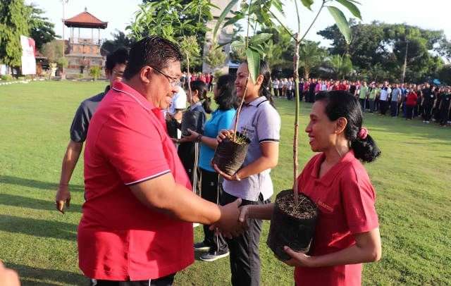 Mangga Amplem Sari Jadi Maskot Buah Buleleng, Distan Siapkan Bibit