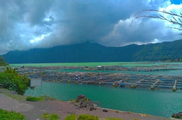 Air Danau Batur Berwarna Hijau, Diduga Akibat Semburan Belerang