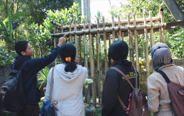 Di Pedawa, Menikah Disebut Melaib, Membuat Kemulan hingga 11 Rong