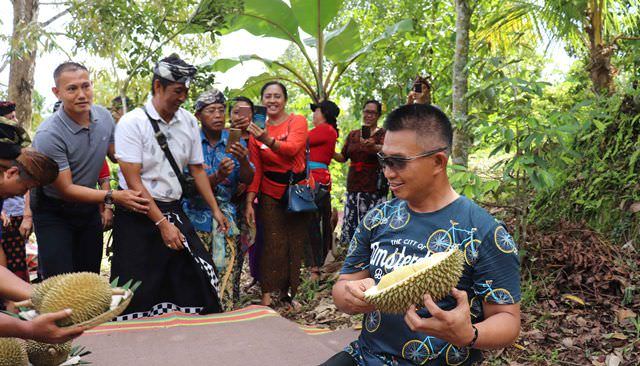 Durian “Ki Raja” asal Madenan Diburu Artis hingga Pangdam IX/Udayana