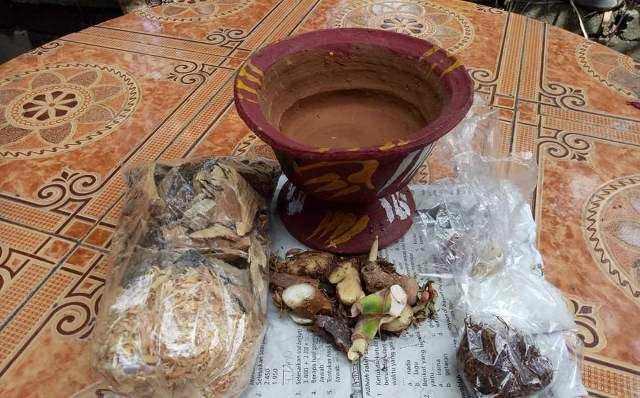 Halau Virus Korona dengan Terapi Matahari dan Pasepan