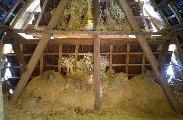 Memahami Ritus Menanam Padi Petani bagi Warga Bali