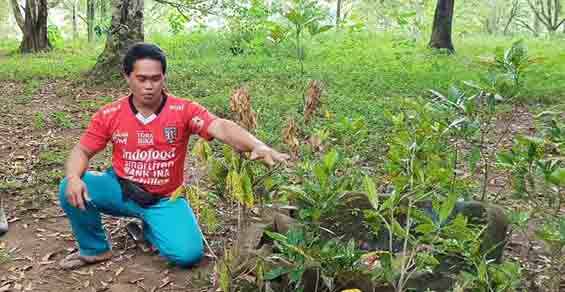 Roh Wanita Cantik Huni Sarkofagus di Desa Pedawa