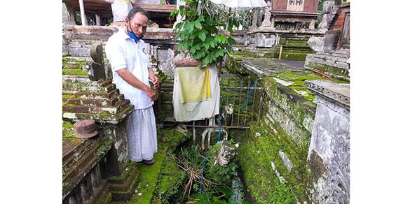 Ada Padi dan Tunjung Aneh di Pura Pucak Bukit Jati