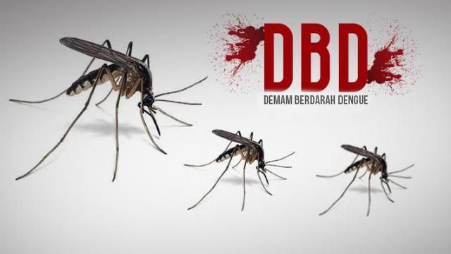DBD Capai 176 Kasus,  Diskes Karangasem Gencarkan Fogging