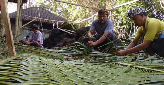 Ini Jenis Kelangsah dan Fungsinya untuk Upakara   
