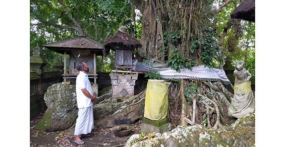 Mohon Kesuburan dan Nerang di Peti Merana dan Melanting