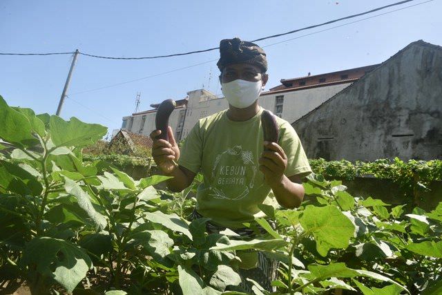 Smansa Urban Farming Bagikan 5.850 Bibit Tanaman