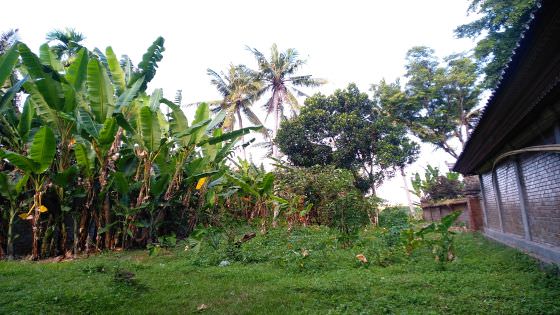 Kawasan Angker Arena  Duel  Ilmu Pangleakan