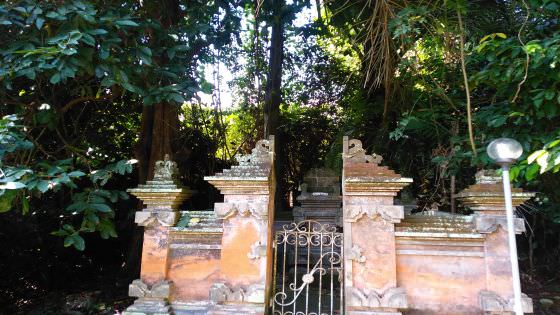 Usil di Hutan Pingit Bisa Diajak Menuju Dimensi Lain