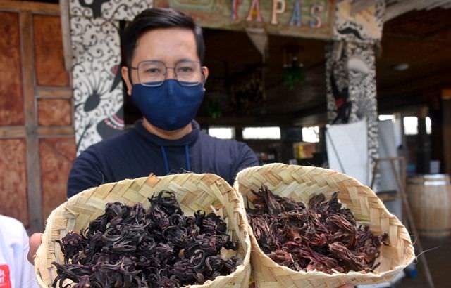 Antioksidan Lebih Tinggi, Rosella Ungu Mampu Cegah Kerusakan Sel