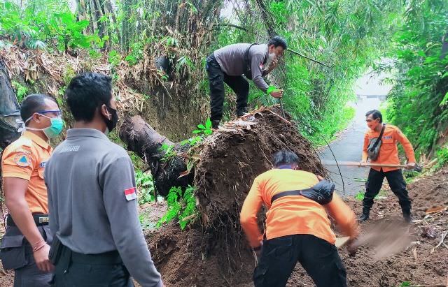 Hujan Deras, Empat Bencana Terjadi di Karangasem