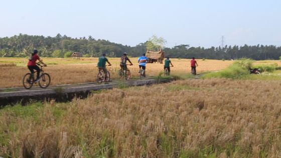 Jelajah Lodtunduh Dikonsep Jadi Desa Wisata Edukasi Plus