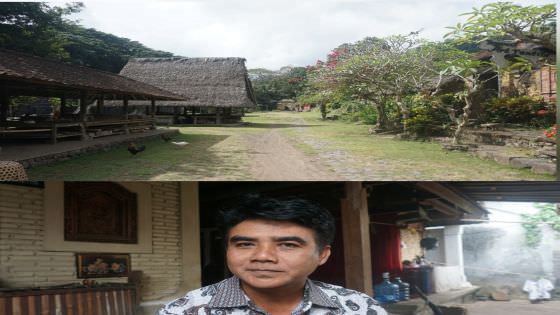 Sanksi  Berat, Tebang Pohon di Tenganan Izin Adat