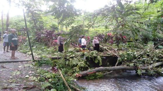 Mandi di Beji, Pelajar Tewas Tertimpa Cabang Pohon Patah