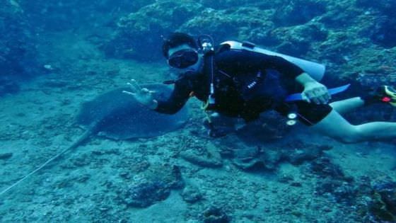 Restorasi Terumbu Karang Sasar 6 Desa Pesisir      