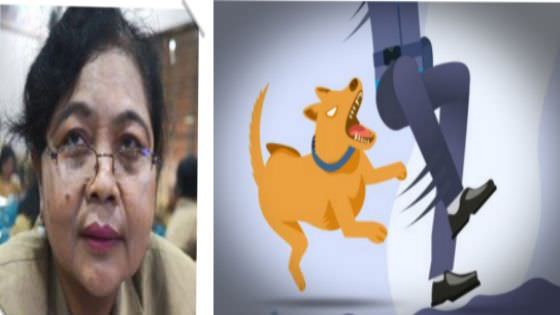 Ilustrasi gigitan anjing.