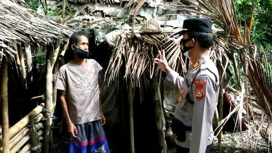 Sayang Sapi, Kaler Nyaman Tidur di Gubuk Dekat Kandang