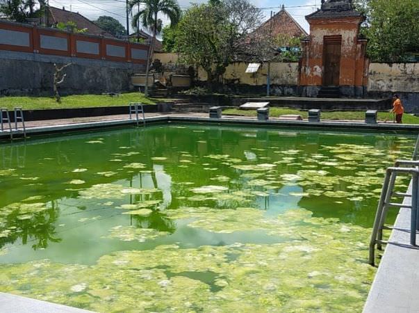 Anggaran Perawatan Terbatas, Kolam Lila Arsana Dibiarkan Berlumut