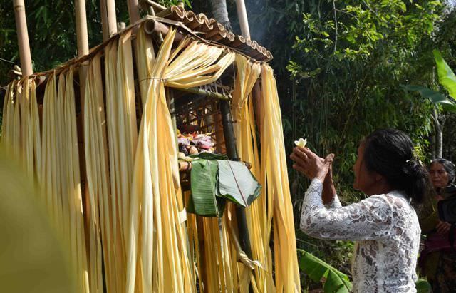 Mengenal Yos, Kawitan Lokal Masyarakan Desa Pedawa, Buleleng