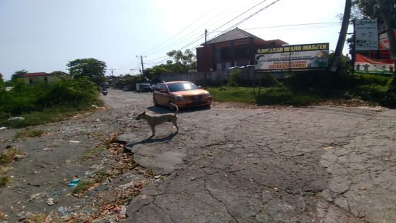 Jalan Karya Makmur Rusak, Dewan Minta Pemkot Segera Bersikap