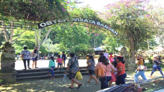 Manis Galungan, Destinasi Wisata Sangeh Dipenuhi Wisatawan