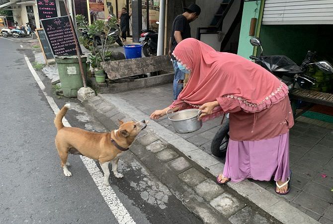 Viral, Kisah Heni Fitriyani Rutin Beri Gorengan ke Anjing