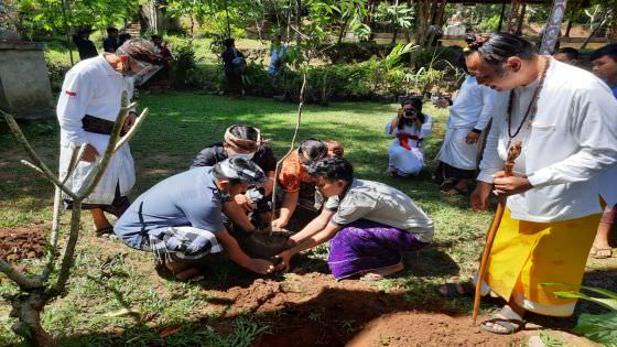 Ashram Gandhi Puri Ditanami Ratusan Tanaman untuk Upakara