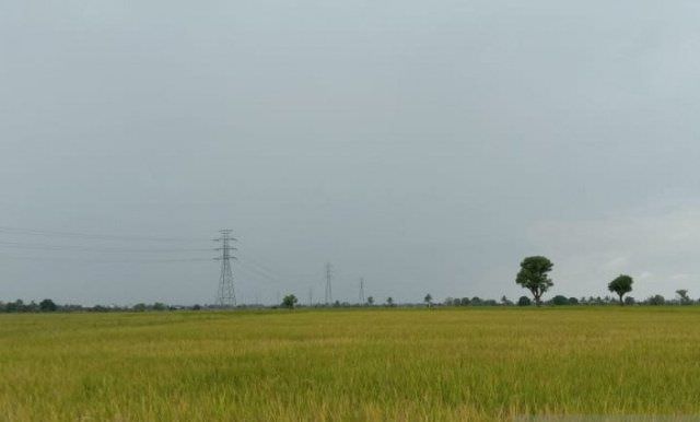 Light Trap, Teknologi Listrik PLN Atasi Hama di Sulsel