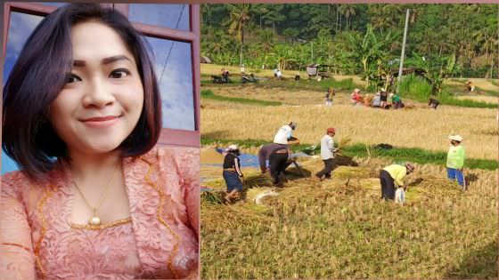 Pemujaan Dewi Sri, Dewi Kemakmuran Banyak Nama Beda Tempat