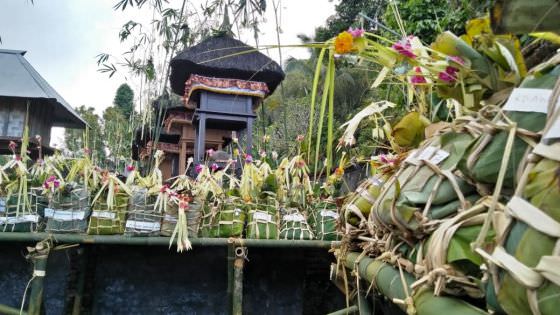 Saba Malunin Wajib Ada Kijang, Banten Balun Simbol Kesetiaan