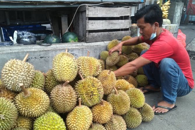 Masuki Musim, Agung Bisa Jual Sampai 300 Buah Durian Per Hari