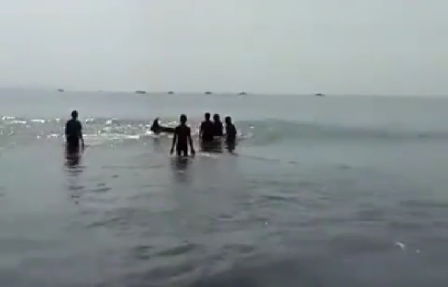 NYARIS KAMPIH : Proses penyelamatan empat ekor Lumba-Lumba di Kawasan Pantai Padanggalak Denpasar, Kamis (13/1) yang nyaris kampih. (ISTIMEWA)