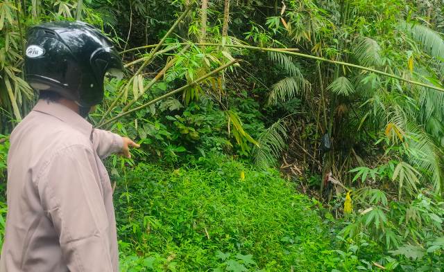 PIGI: Tempat pembuangan ari-ari yang disebut Pigi. (DIAN SURYANTINI/BALI EXPRESS)
