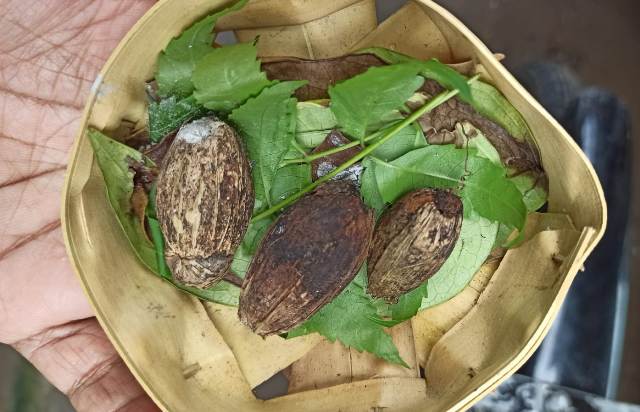 BUAH PINANG: Buah pinang menjadi salah satu Panca Pala yang memiliki makna tersendiri dalam ritual umat Hindu di Bali. (ISTIMEWA)