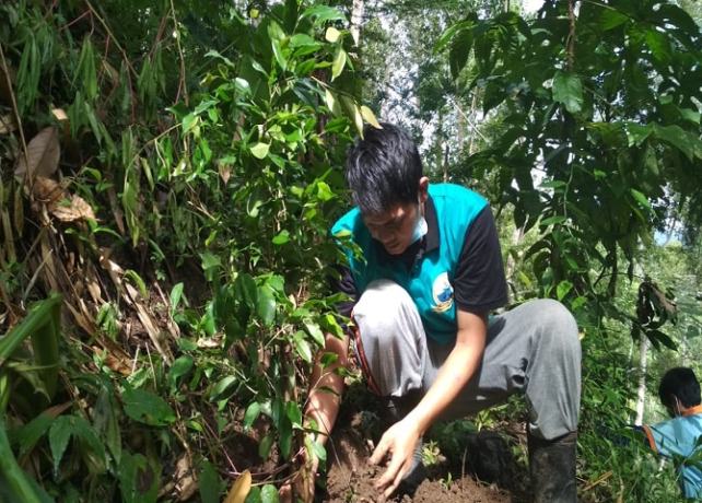 Penanaman pohon di Desa Pedawa, Kecamatan Banjar, yang dimotori oleh Kayoman Pedawa, dengan melibatkan elemen masyarakat. (I Putu Mardika/Bali Express)