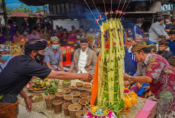 Daun sirih (base) saat digunakan dalam berbagai ritual. (ISTIMEWA)