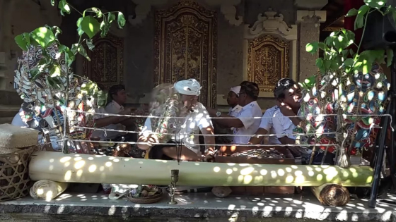 LEMAH : Pohon Dapdap juga digunakan dalam pementasan Wayang Lemah. I Putu Mardika/Bali Express.