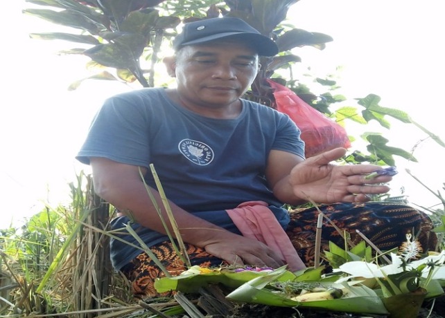 TETAMIAN : Sarana dan banten yang dihaturkan dalam tradisi Ngemping di Subak Dalem Uma, Gianyar. (ISTIMEWA)