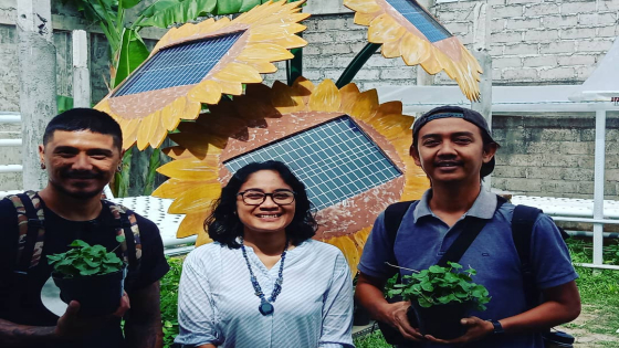 SURYA : Salah satu pemanfaatan panel surya pada kebun hidroponik skala rumah tangga. Dian Suryantini/Bali Express