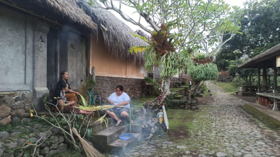PERMUKIMAN : Masyarakat Tenganan Pegringsingan masih tetap melestarikan kawasan permukiman. Putu Mardika/Bali Express