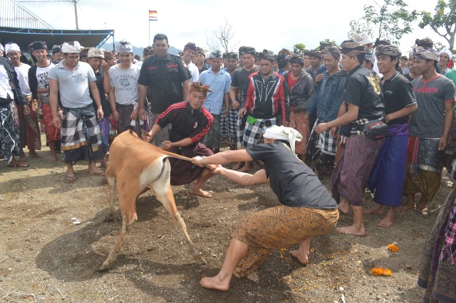 NGELEBANG: Prosesi Upacara Ngelebang Wadak di Desa Adat Selulung beberapa waktu lalu. (I PUTU MARDIKA/BALI EXPRESS)