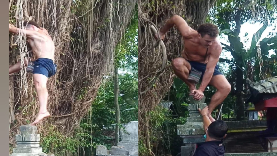 DEMI KONTEN  : Bule Aussie, Samuel Lockton panjat pohon Beringin di Dadakan, Tabanan, masih ngutang biaya Guru Piduka karena tidak bawa uang.
