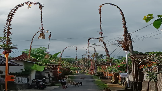 PENJOR: Penjor sambut Hari Raya Galungan berjejer di Desa Adat Kayubihi. (Istimewa)